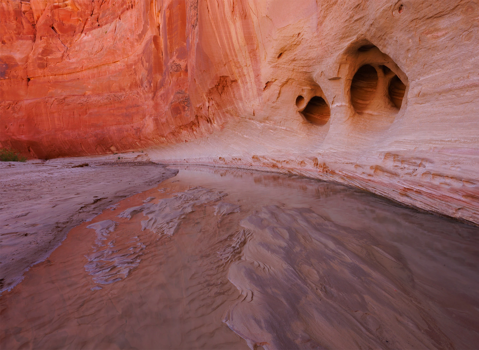 A winding stream flows through Paria Canyon, reflecting soft purples and reds from towering sandstone walls. The canyon wall on the right is sculpted with natural alcoves and hollowed pockets, creating an almost organic, honeycomb texture. The warm desert light enhances the pink, orange, and terracotta tones of the rock.