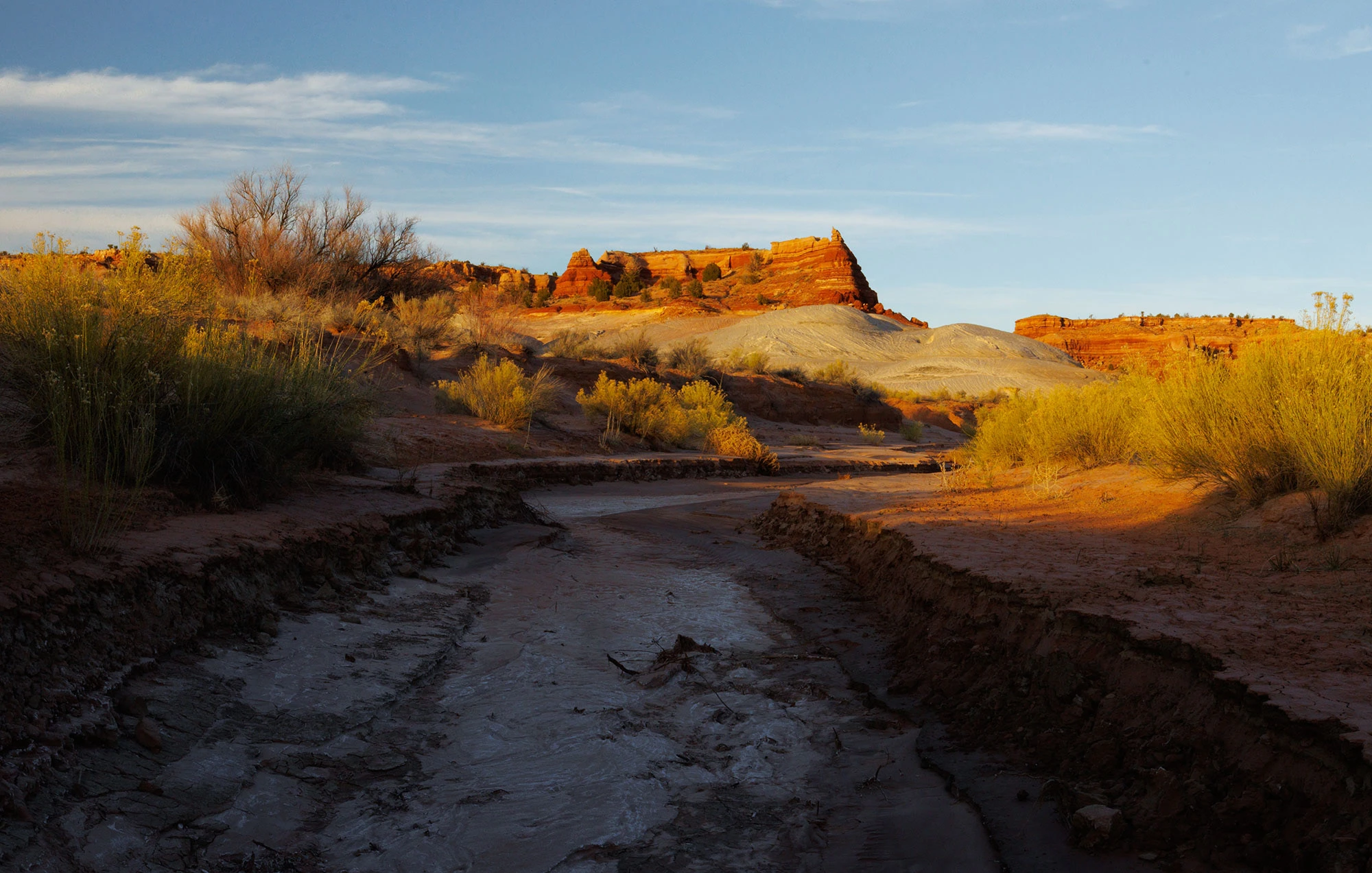 Paria Canyon Wash in the Vermilion Cliffs National Monument