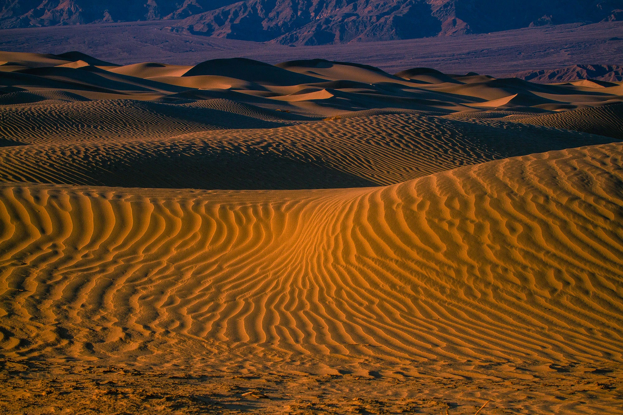 Debunking Patrick Moore's claims about Carbon Dioxide