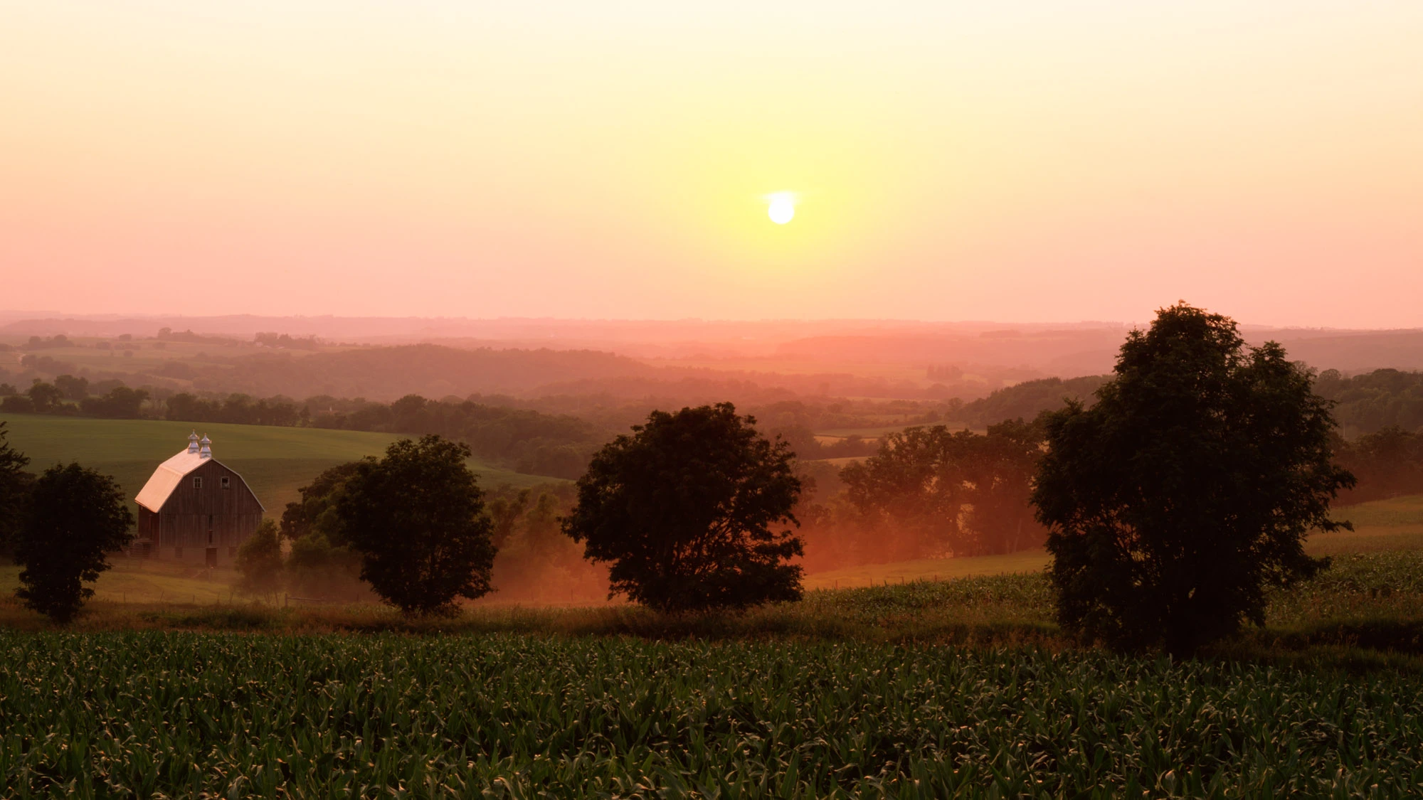 Narrow dusk alley in Rovinj, Croatia—warm stone walls, glowing windows and lantern light, polished cobbles tapering toward the sea—an invitation to wander and discover Europe.