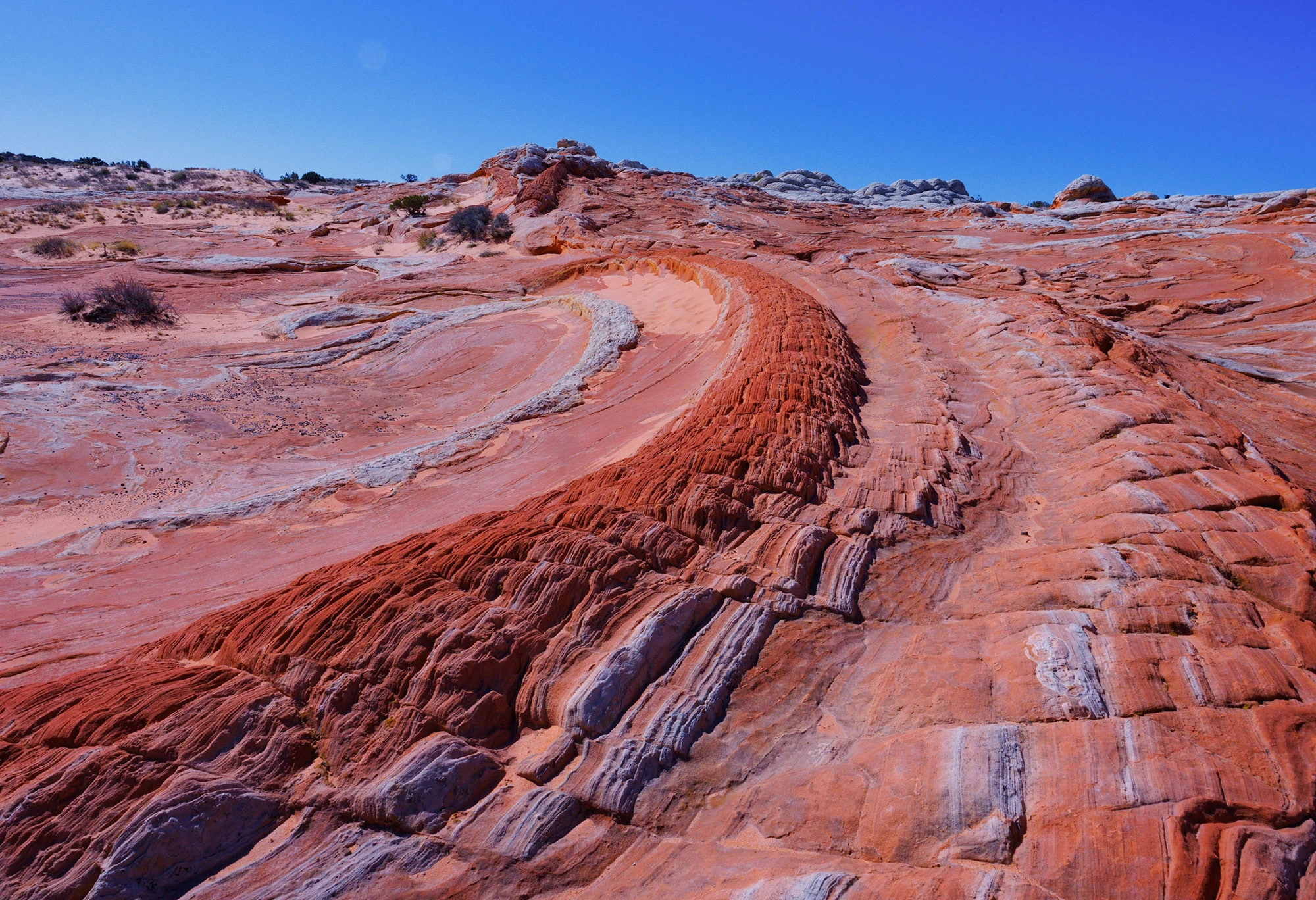 White Pocket rainbow colors
