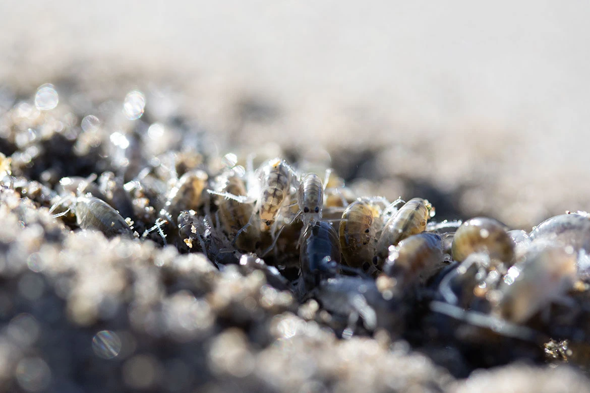 United States and Climate Change