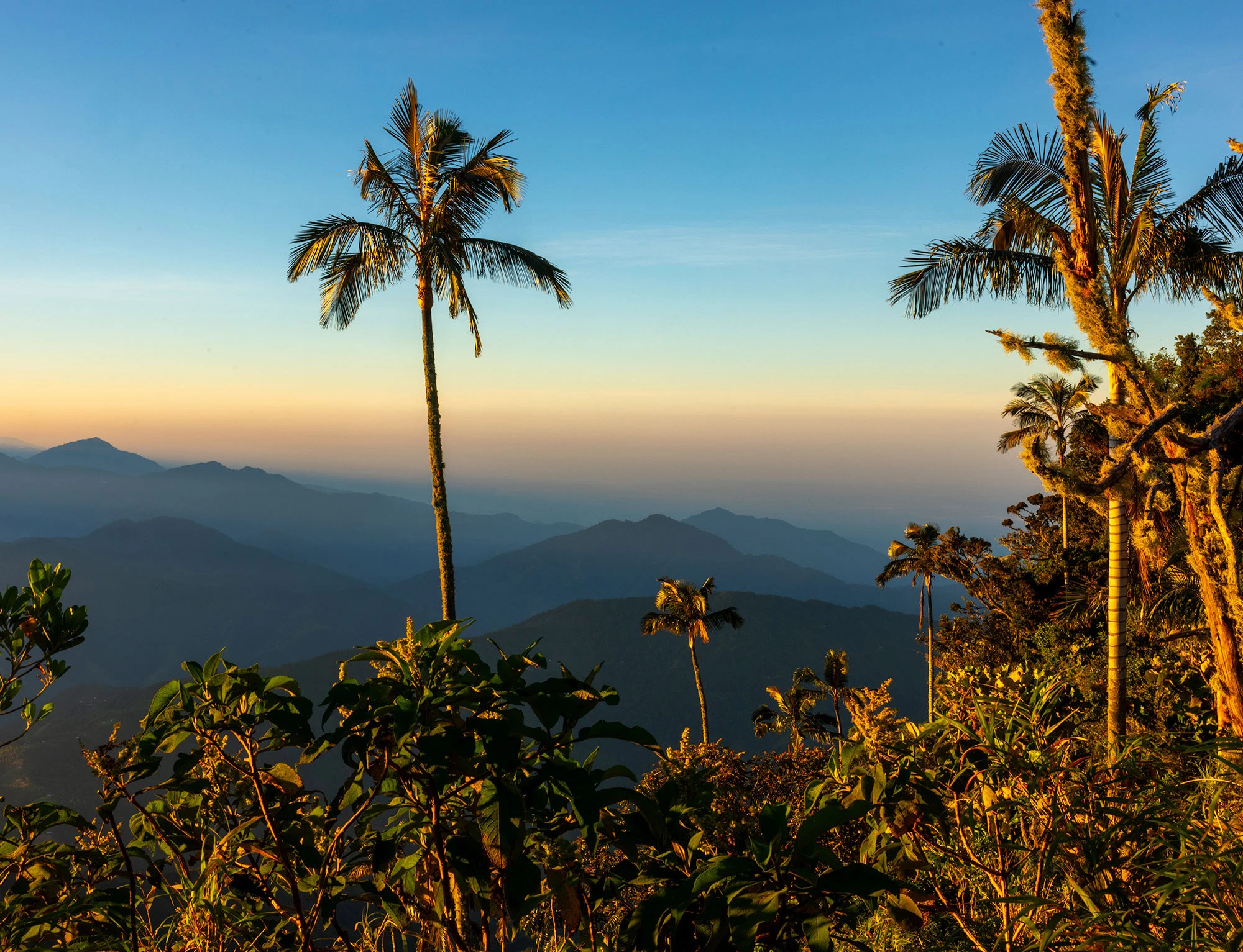 From the high ridges near San Lorenzo peak in Colombia's Santa Marta Mountains, the forested slopes drop steeply toward the distant blue expanse of the Caribbean Sea. The view stretches across misty valleys and cloud-tipped summits, offering a rare glimpse from mountain to ocean.