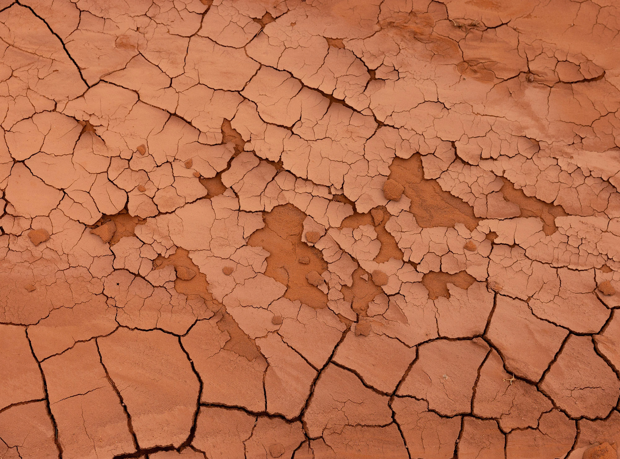 Cracked red clay near Sand Springs in Monument Valley, the surface broken into dry, jagged patterns that hint at drought conditions.