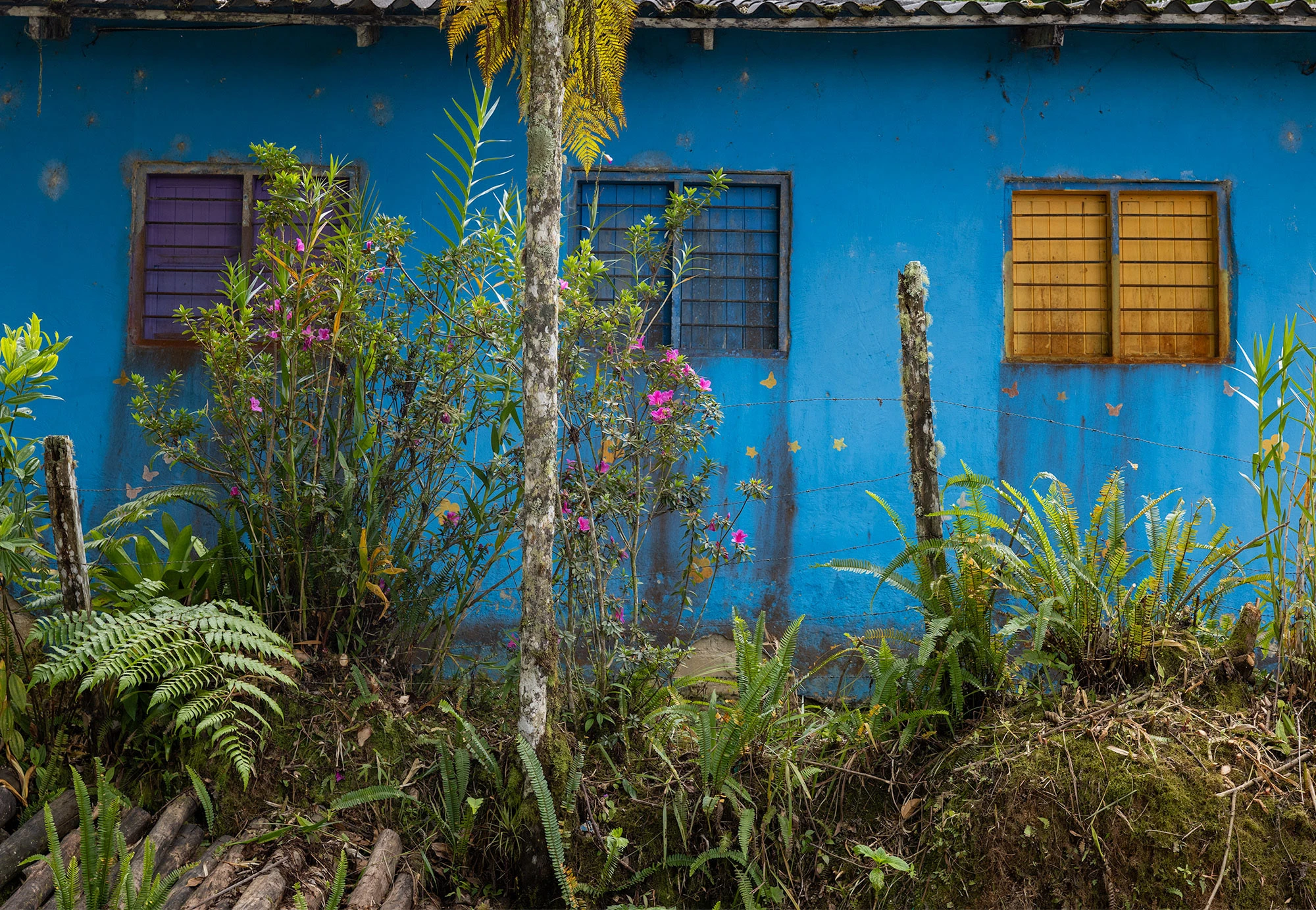 A rural schoolhouse clings to the green slopes of Colombia's Santa Marta Mountains. Surrounded by dense forest and misty ridgelines, the school is a beacon of learning for children in one of the most remote and biodiverse regions in the world.