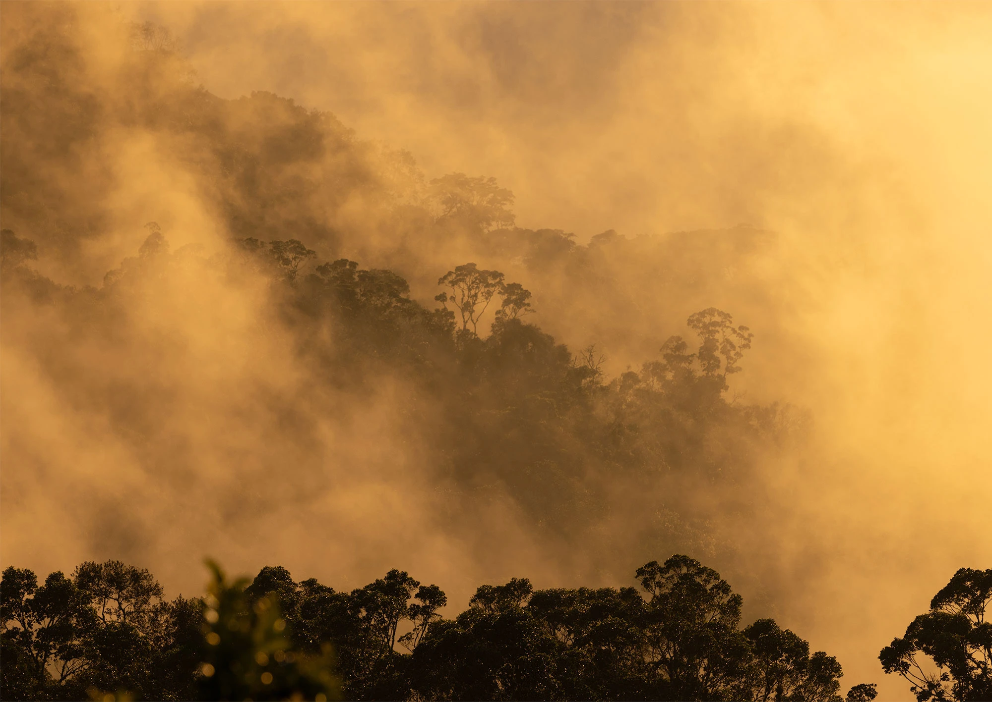 Colombia's Santa Marta Mountains seen from El Dorado Reserve, their forested slopes wrapped in cloud and shadow. Ancient ridges stretch toward the Caribbean horizon, glowing softly in the filtered high-altitude light.