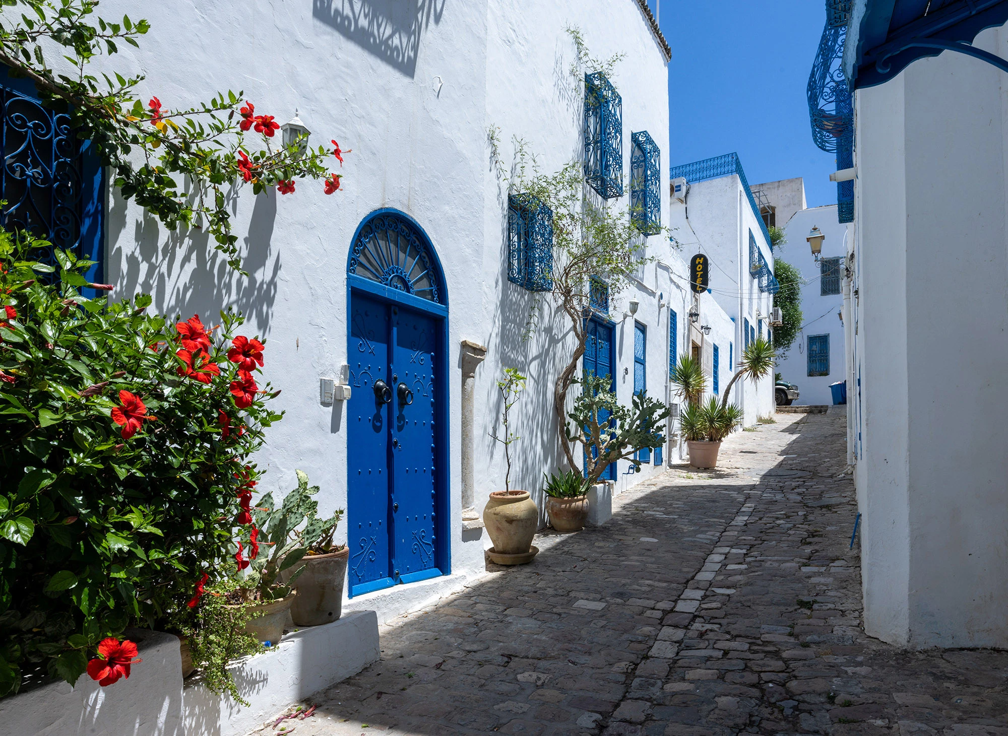 Cobbled street in Sidi Bou Said lined with whitewashed buildings, cobalt doors, and wrought-iron balconies draped in red hibiscus and climbing vines. The afternoon light reveals the village's balance of order and spontaneity, where architecture, flora, and sunlight create living harmony.