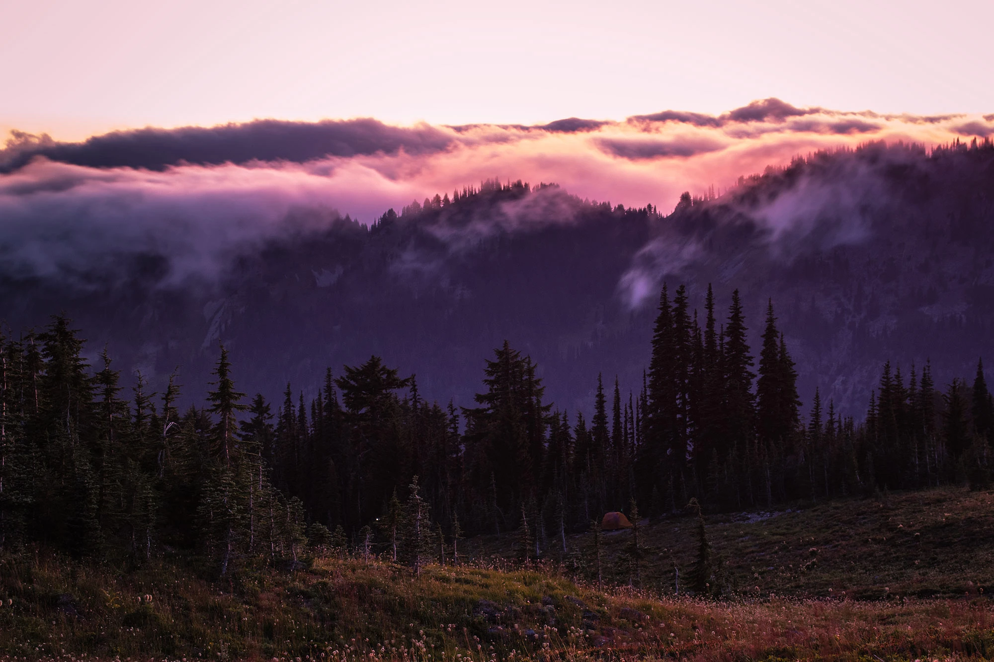Snowgrass Flats at sunset in Washington's Goat Rocks Wilderness, where alpine meadows of wildflowers meet dark ridges of fir and pine forest. Layers of mist and glowing pink clouds drift over the jagged volcanic peaks, while a small orange tent rests at the edge of the meadow, evoking the solitude and beauty of backcountry camping.