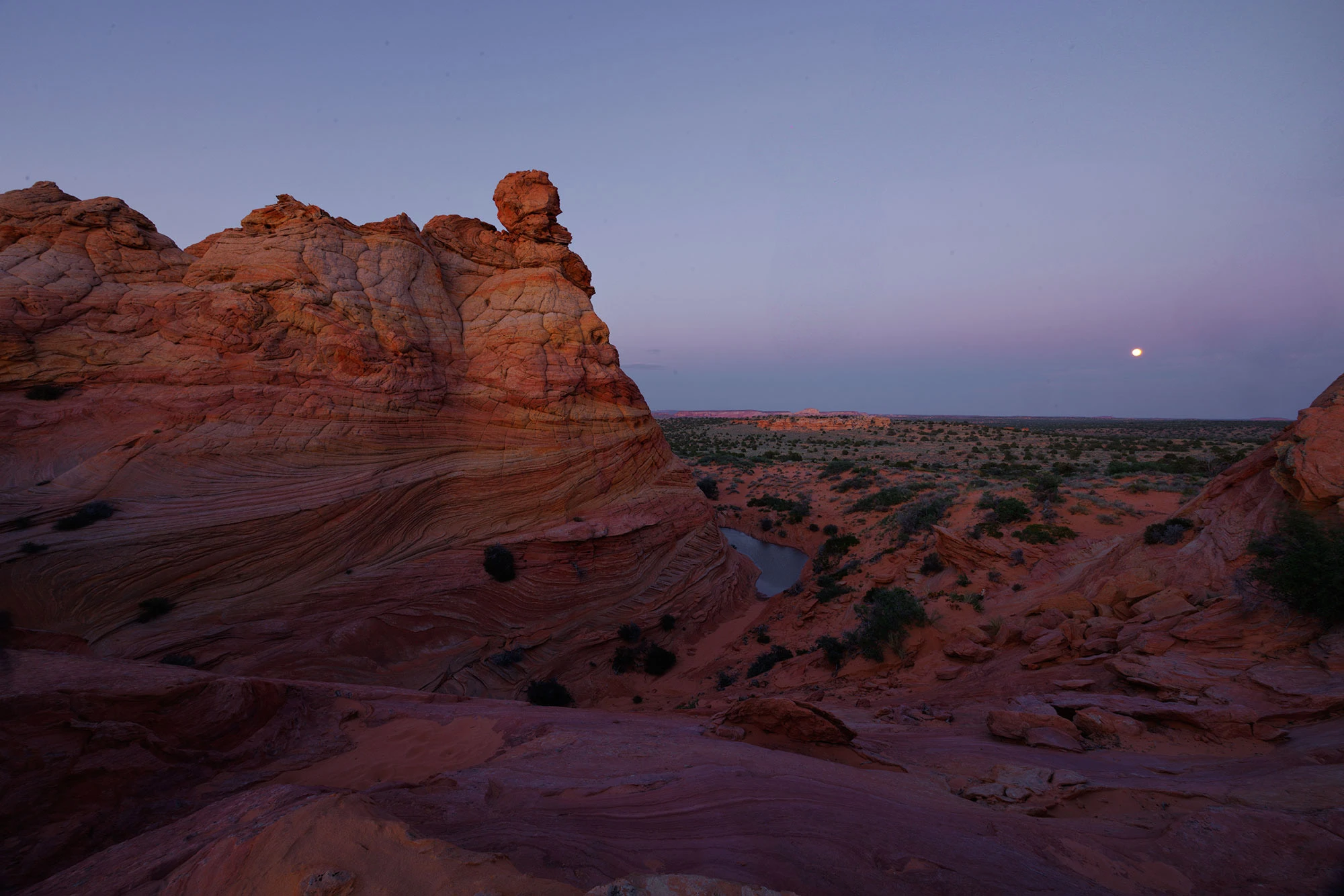 Layered sandstone formations in South Coyote Buttes glow faintly in the cool light of blue hour, just after sunset. A full moon rises over the desert plain in the distance, casting a soft glow on the rugged terrain and a winding desert wash below.