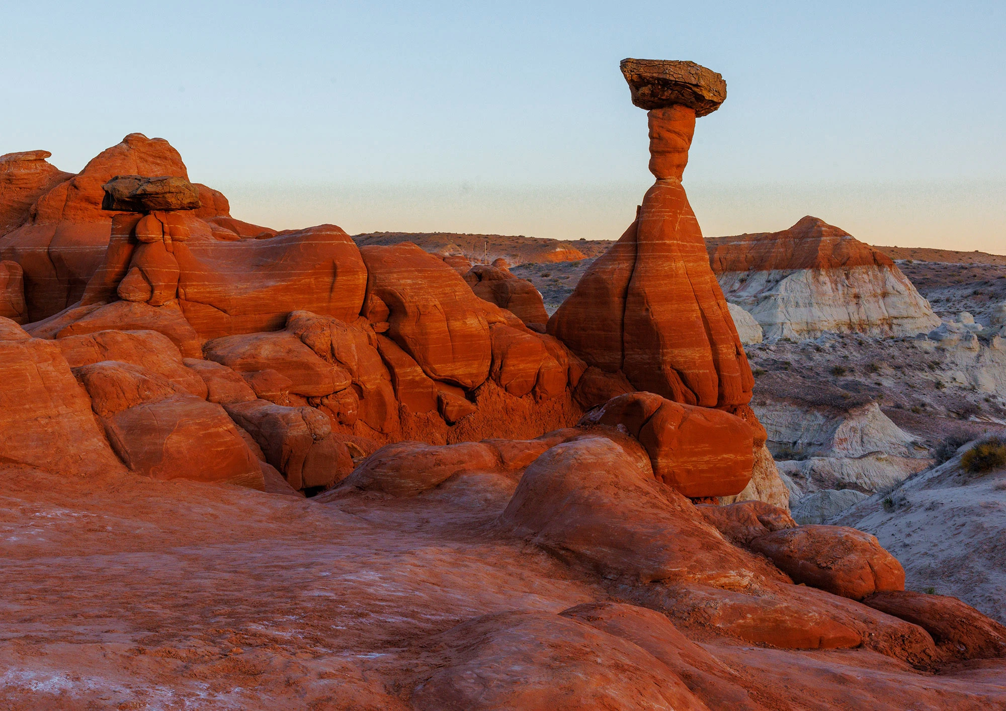 Toadstool Hoodoos in the Vermilion Cliffs National Monument