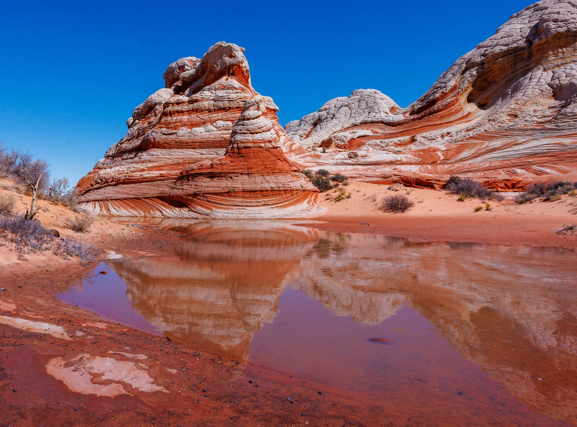 Red Sandstone in the Vermilion Cliffs NM