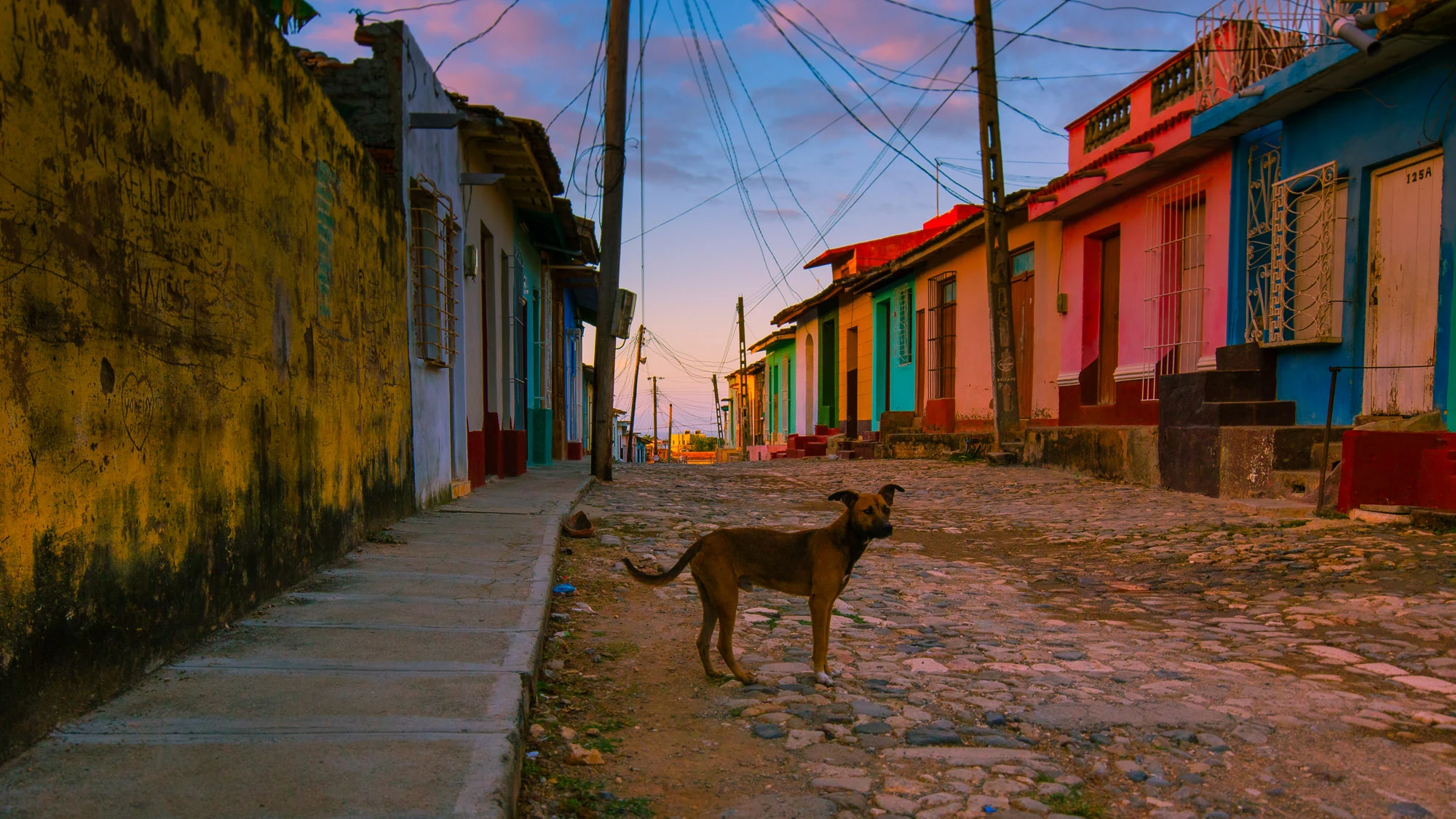 Narrow dusk alley in Rovinj, Croatia—warm stone walls, glowing windows and lantern light, polished cobbles tapering toward the sea—an invitation to wander and discover Europe.