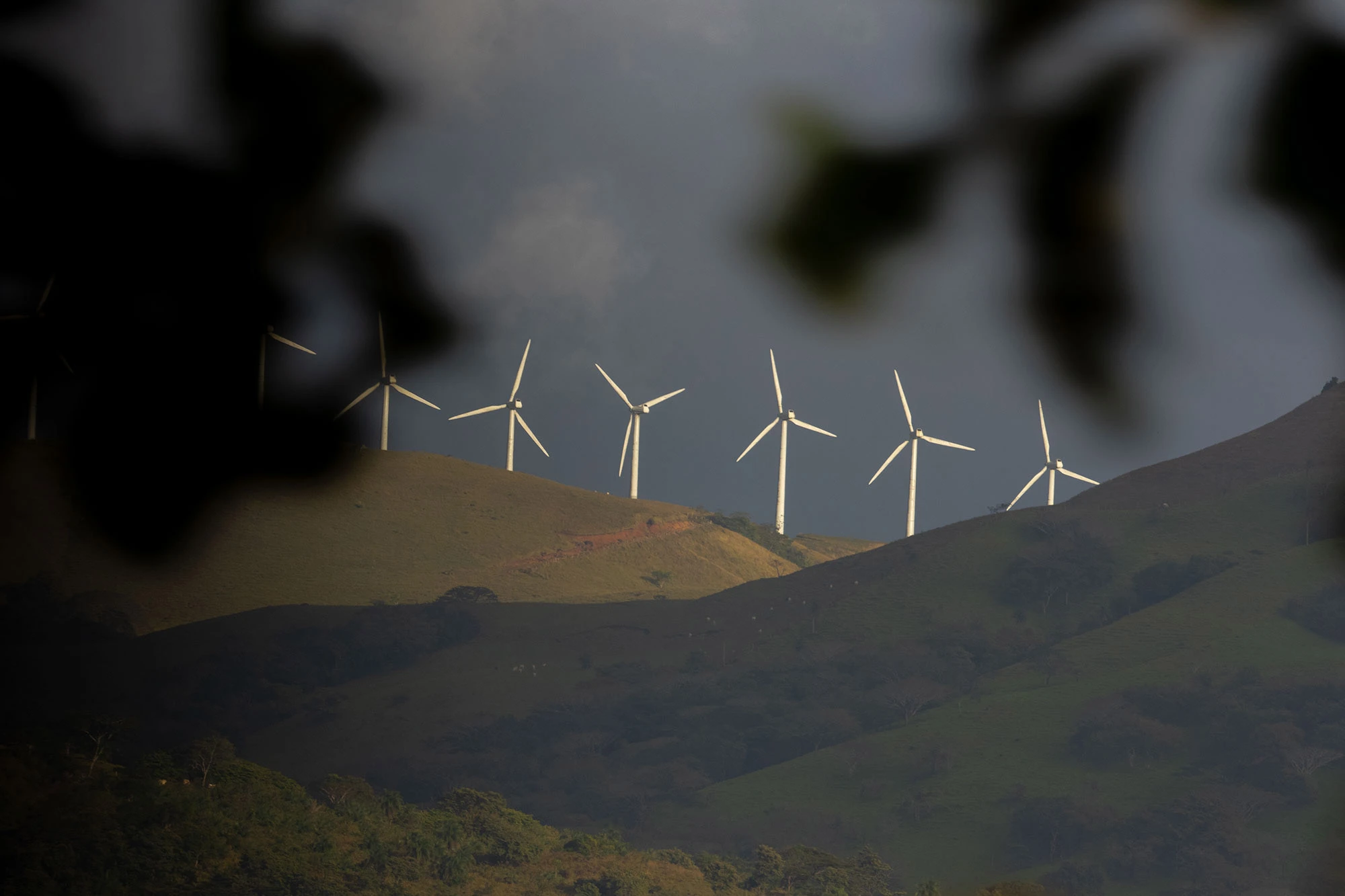 Wind turbines rising above the hills of Guanacaste Province, Costa Rica, part of the region's renewable energy landscape